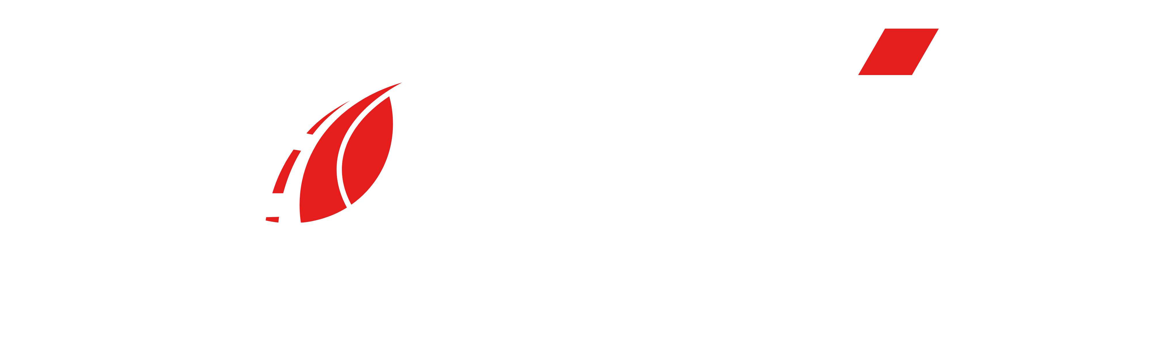 logo-1
